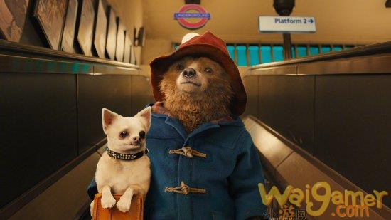 《帕丁顿熊3》官宣定名《帕丁顿熊在秘鲁》 明年开拍