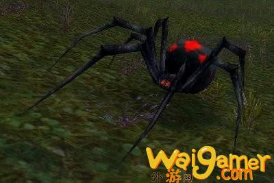 魔兽世界wlk蜘蛛在哪抓(魔兽世界怀旧服WLK)