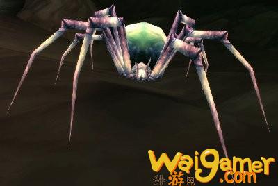 魔兽世界wlk蜘蛛在哪抓(魔兽世界怀旧服WLK)