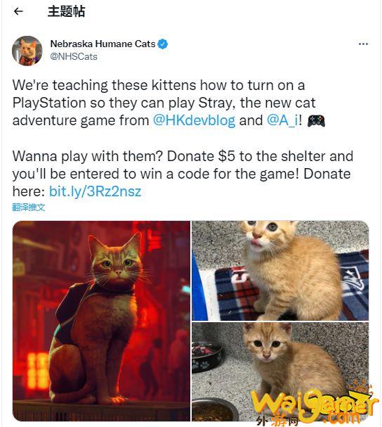 玩《流浪》可以救现实中的猫 发行商与慈善机构合作