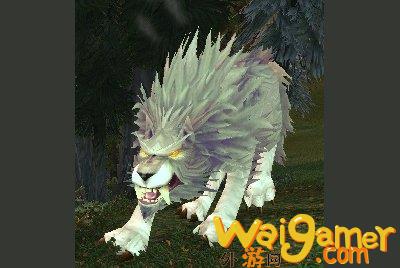 魔兽世界wlk狼在哪抓(魔兽世界WLK好看的狼)