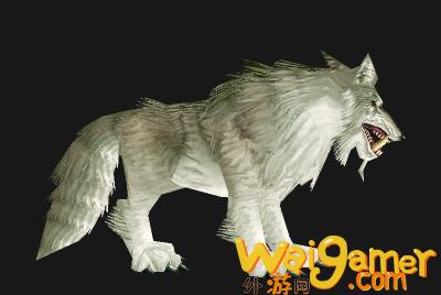 魔兽世界wlk狼在哪抓(魔兽世界WLK好看的狼)