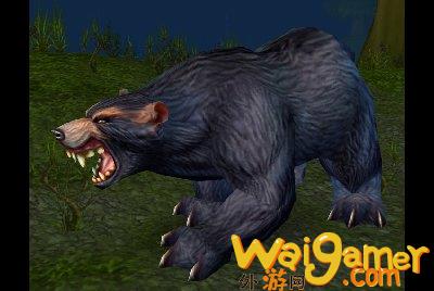 魔兽世界wlk熊位置分享抓，魔兽世界WLK熊咋样