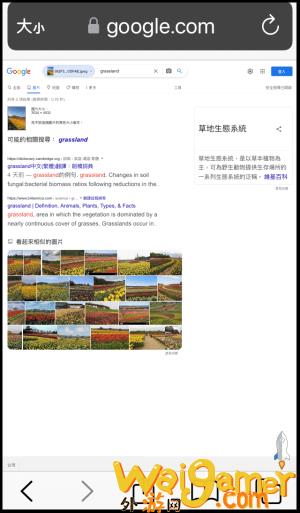 手机「Google以图搜图教学」，iPhone和Android上传图片，找类似照片。