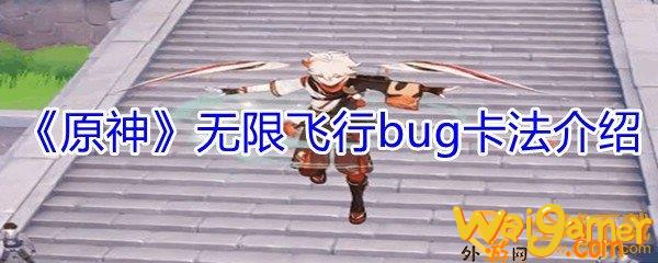 《原神》无限飞行bug卡法介绍(原神无限飞行bug2022)